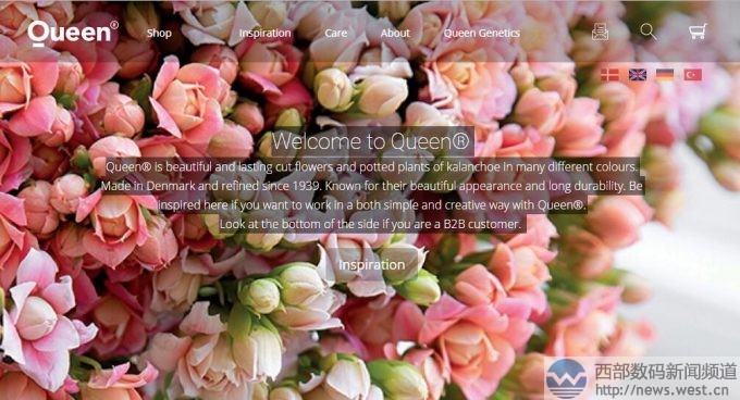 �r���K�˱��з���ٳ���������r��800�f��Queen.com�Ԛw��������